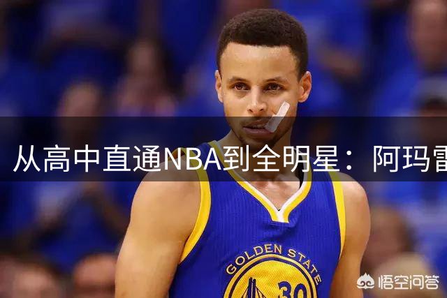 从高中直通NBA到全明星：阿玛雷·斯塔德迈尔的传奇之路