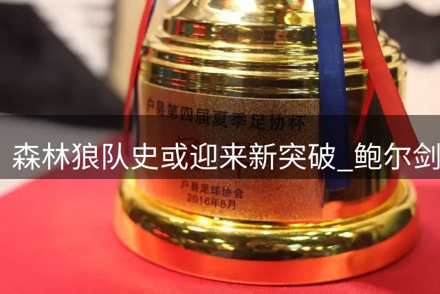 森林狼队史或迎来新突破 鲍尔剑指20+分控卫里程碑