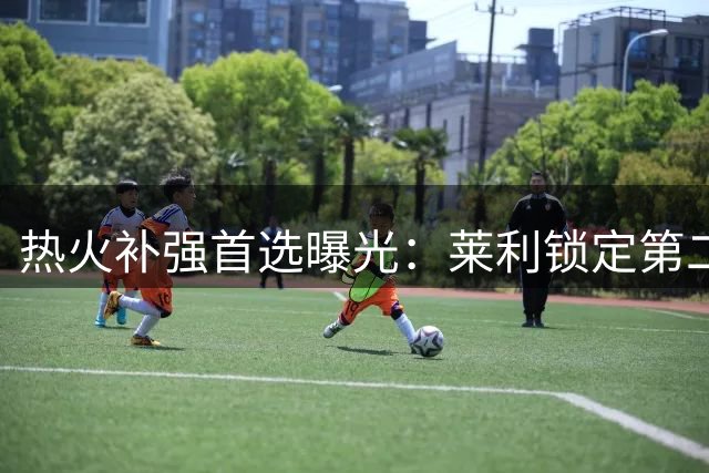 热火补强首选曝光：莱利锁定第二组织核心