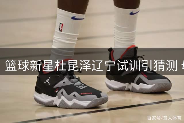篮球新星杜昆泽辽宁试训引猜测 母亲发声否认转会传闻