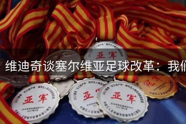 维迪奇谈塞尔维亚足球改革：我们必须靠自己来解决问题